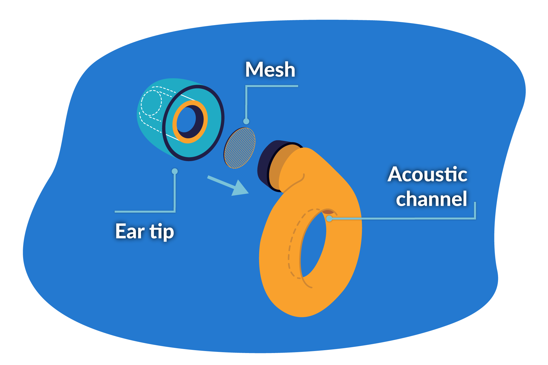 loop earplugs engage